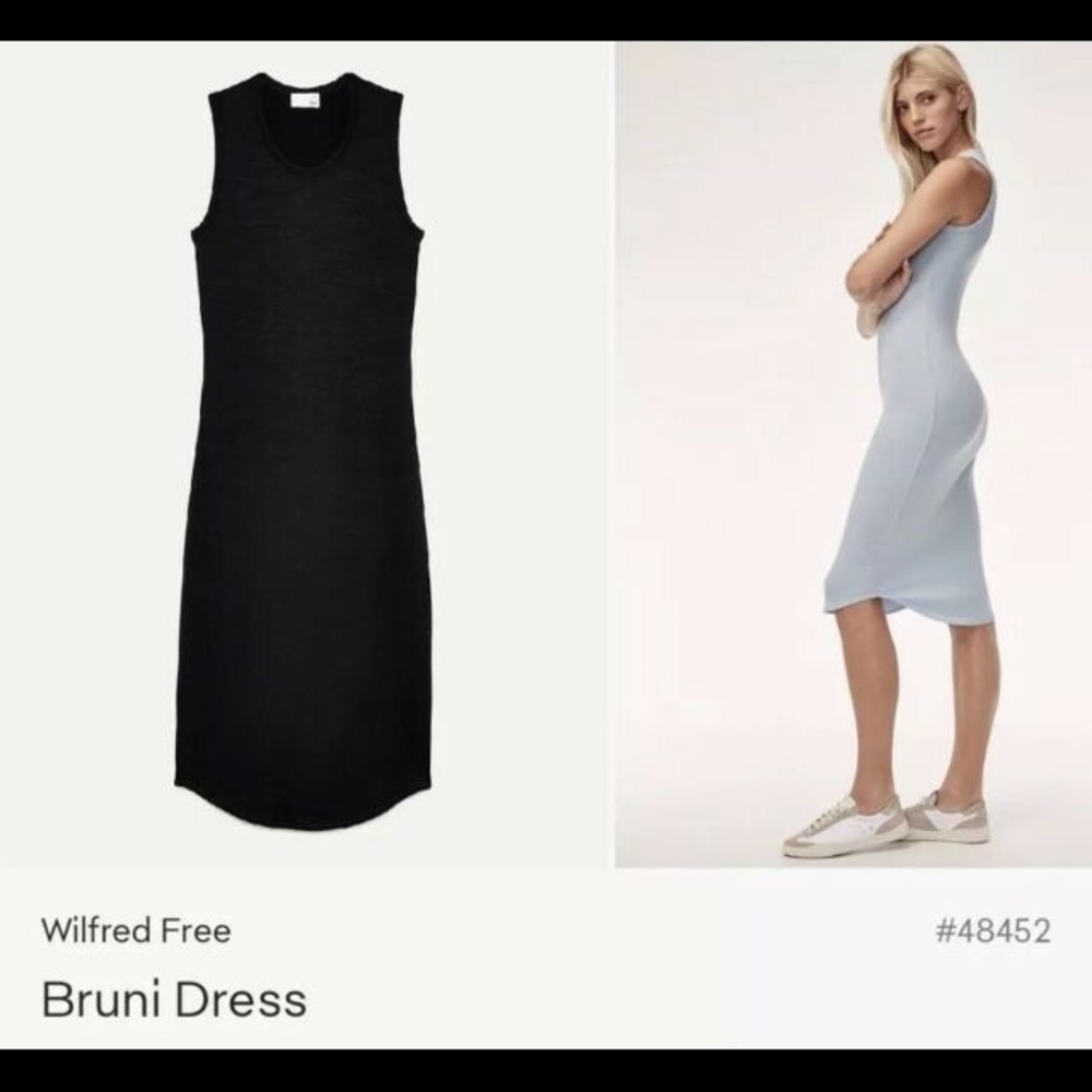 Aritzia | Wilfred Free Bruni Dress